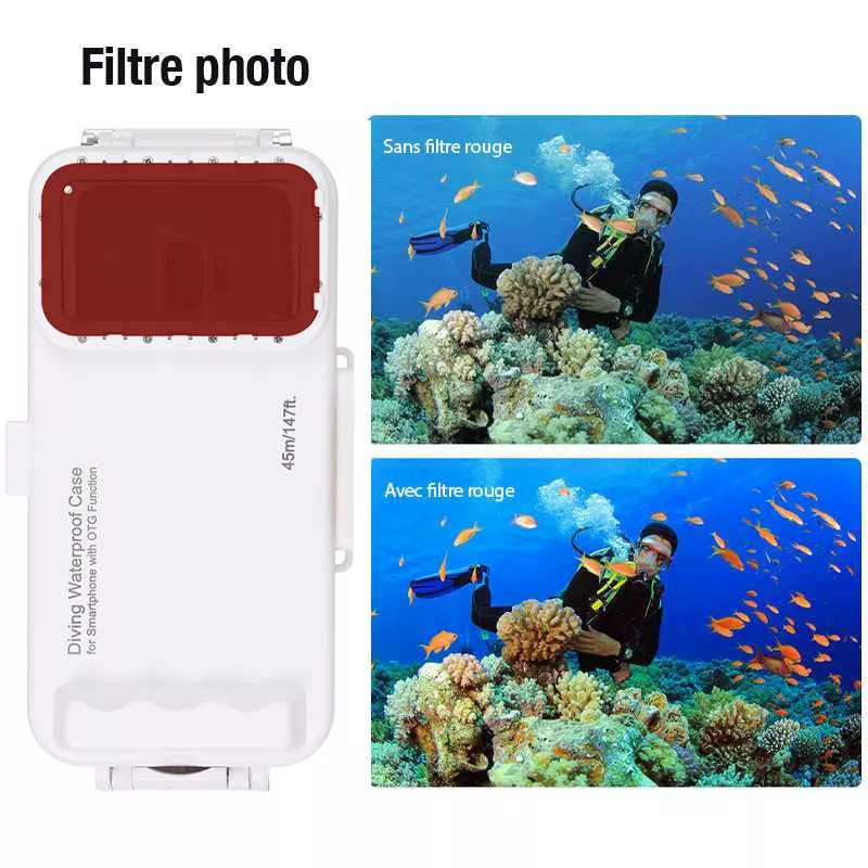 Démonstration du caisson de plongée étanche immergé en pleine mer pour la photographie sous-marine de la faune aquatique.