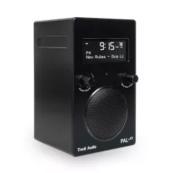 Enceinte Radio DAB/FM Bluetooth TIVOLI AUDIO Pal+ BT