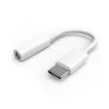 Adaptateur USB-C / Jack 3,5 mm - Certifié MFi