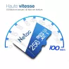 Carte MicroSD NETAC P500 256GB