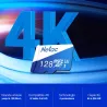 Carte MicroSD NETAC P500 128GB