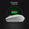 Souris Optique RAPOO M100 Silent Bluetooth & 2,4Ghz
