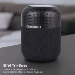Enceinte Bluetooth TRONSMART Element T6 Max