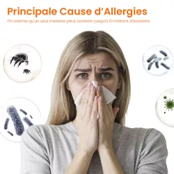 Aspirateur à Matelas UWANT M300 13Kpa