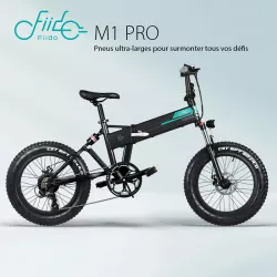 Vélo Électrique Pliant FIIDO M1 Pro