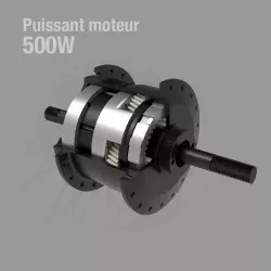 Vélo Électrique Pliant FIIDO M1 Pro