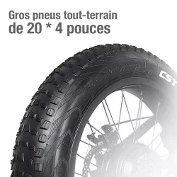 Vélo Électrique Pliant FIIDO M1 Pro