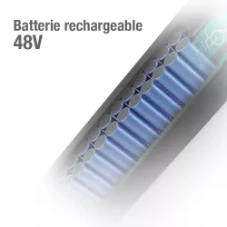 Vélo Électrique Pliant FIIDO M1 Pro