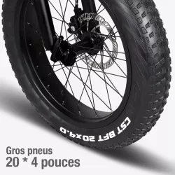 Vélo Électrique Pliant FIIDO M1 Pro