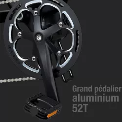 Vélo Électrique Pliant FIIDO M1 Pro