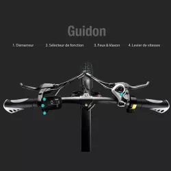 Vélo Électrique Pliant FIIDO M1 Pro