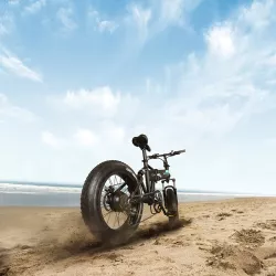 Vélo Électrique Pliant FIIDO M1 Pro