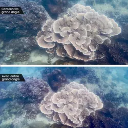 Pack Océan DIVEVOLK SeaTouch Max Plus