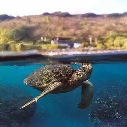 Dôme Mi-Air Mi-Eau DIVEVOLK pour Caisson Étanche SeaTouch 4 Max