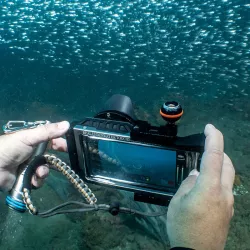 Objectif Grand Angle DIVEVOLK 0,6x pour Caisson Étanche SeaTouch 4 Max