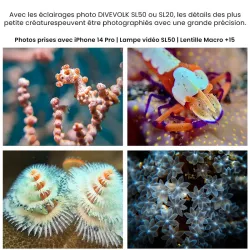 Objectif Macro +15 DIVEVOLK pour Caisson Étanche SeaTouch 4 Max