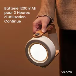 Veilleuse LED Multifonction USAMS ZB249