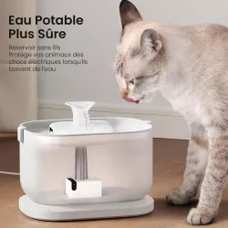 Fontaine à Eau PETLIBRO DockStream | Charge Sans Fil