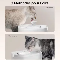 Fontaine à Eau PETLIBRO DockStream | Charge Sans Fil