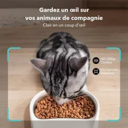 Pack Distributeur de Nourriture PETLIBRO Granary + Fontaine