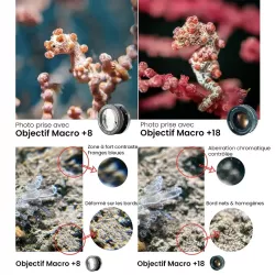 Objectif Macro +18 DIVEVOLK pour Caisson Étanche SeaTouch