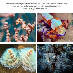 Objectif Macro +8 DIVEVOLK pour Caisson Étanche SeaTouch