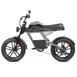 Vélo Électrique YOUIN Las Vegas 250W