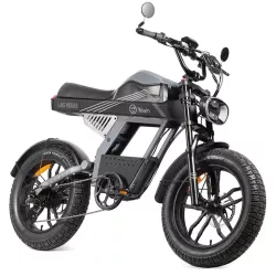 Vélo Électrique YOUIN Las Vegas 250W