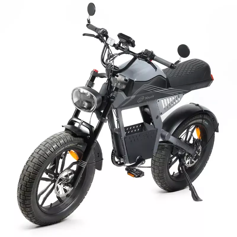 Vélo Électrique YOUIN Las Vegas 250W