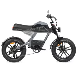 Vélo Électrique YOUIN Las Vegas 250W