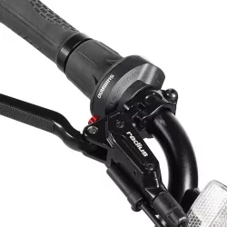 Vélo Électrique YOUIN Las Vegas 250W