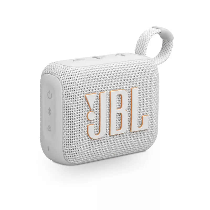 Enceinte Bluetooth Portative JBL Go 4
