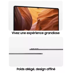 Tablette SAMSUNG Galaxy Tab S11 Ultra WiFi 512 Go