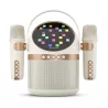 Enceinte Bluetooth Karaoké PHILIPS TAS2509 avec 2 Microphones