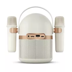 Enceinte Bluetooth Karaoké PHILIPS TAS2509 avec 2 Microphones