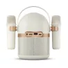 Enceinte Bluetooth Karaoké PHILIPS TAS2509 avec 2 Microphones