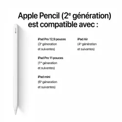 Stylet Actif APPLE Pencil 2e Génération MXN43ZM/A