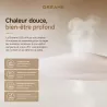 Ceinture Chauffante DREAME D30