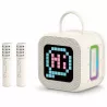 Enceinte Bluetooth Karaoké BLAVEC WS-09