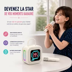 Enceinte Bluetooth Karaoké BLAVEC WS-09