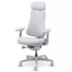 Chaise Ergonomique LIBERNOVO Omni 45