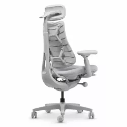 Chaise Ergonomique LIBERNOVO Omni 45