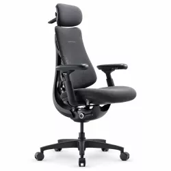 Chaise Ergonomique LIBERNOVO Omni Gen 48