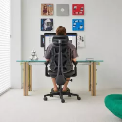 Chaise Ergonomique LIBERNOVO Omni Gen 48