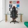Chaise Ergonomique LIBERNOVO Omni Gen 48