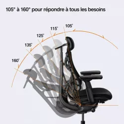 Chaise Ergonomique LIBERNOVO Omni Gen 48