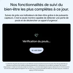 Montre Connectée GOOGLE Pixel Watch 5 WiFi/Bluetooth 45 mm