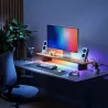 Support d'Écran RVB NANOLEAF Smart Monitor