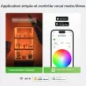 Vitrine Led NANOLEAF Fantaqi Expo 4 Modules RGBW