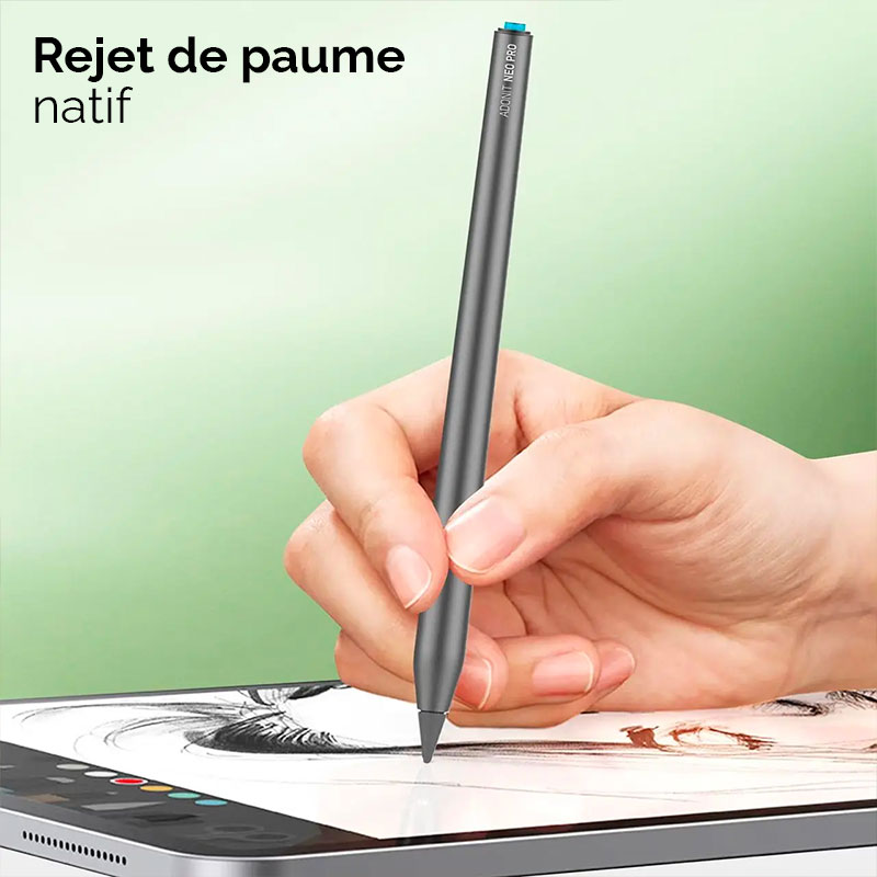 Stylet pour iPad avec rejet de paume et fixation magnétique, Max